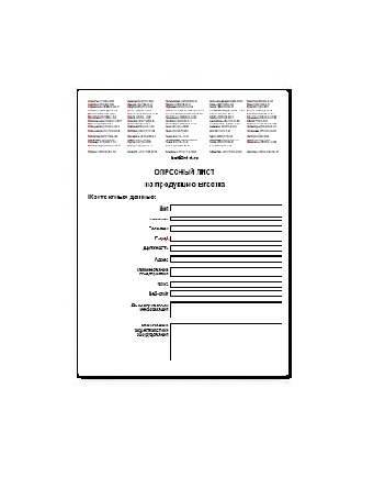 The questionnaire supplier BRASILIA